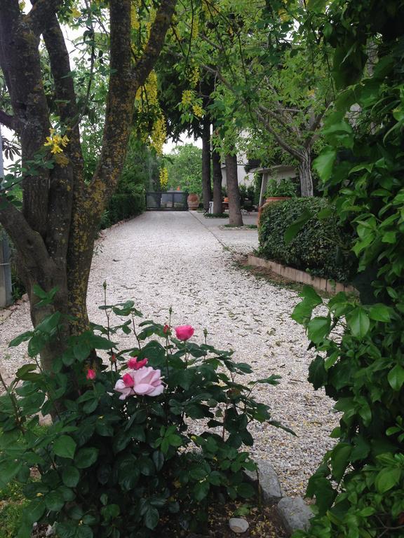 B&B Il Giovine Campello sul Clitunno Exterior photo