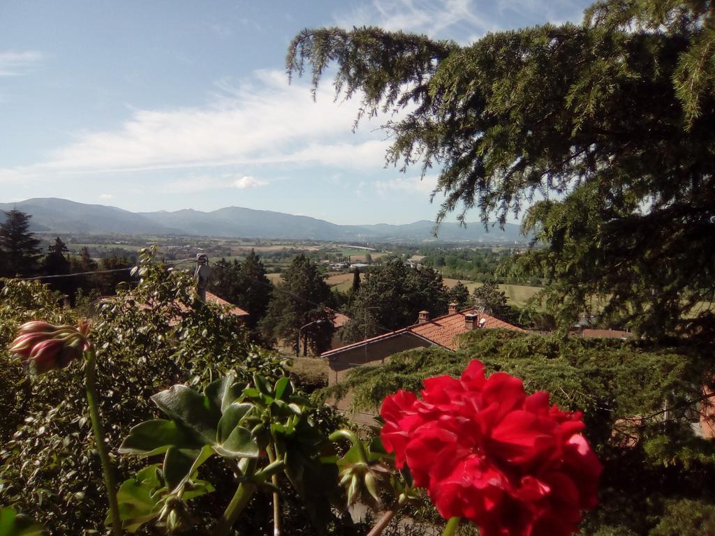 B&B Il Giovine Campello sul Clitunno Exterior photo